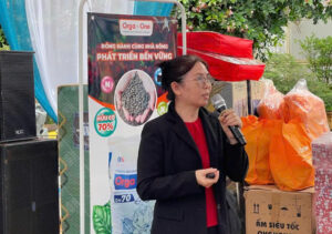 chia se tai hoi thao xuan thu